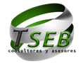 TSEB Consultora y Reingeniería